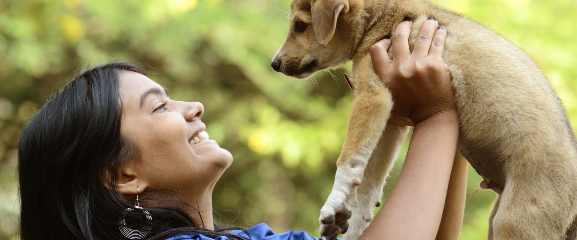 Adopting a Pet from the Delaware County Humane Society: Vaccinations and Requirements
